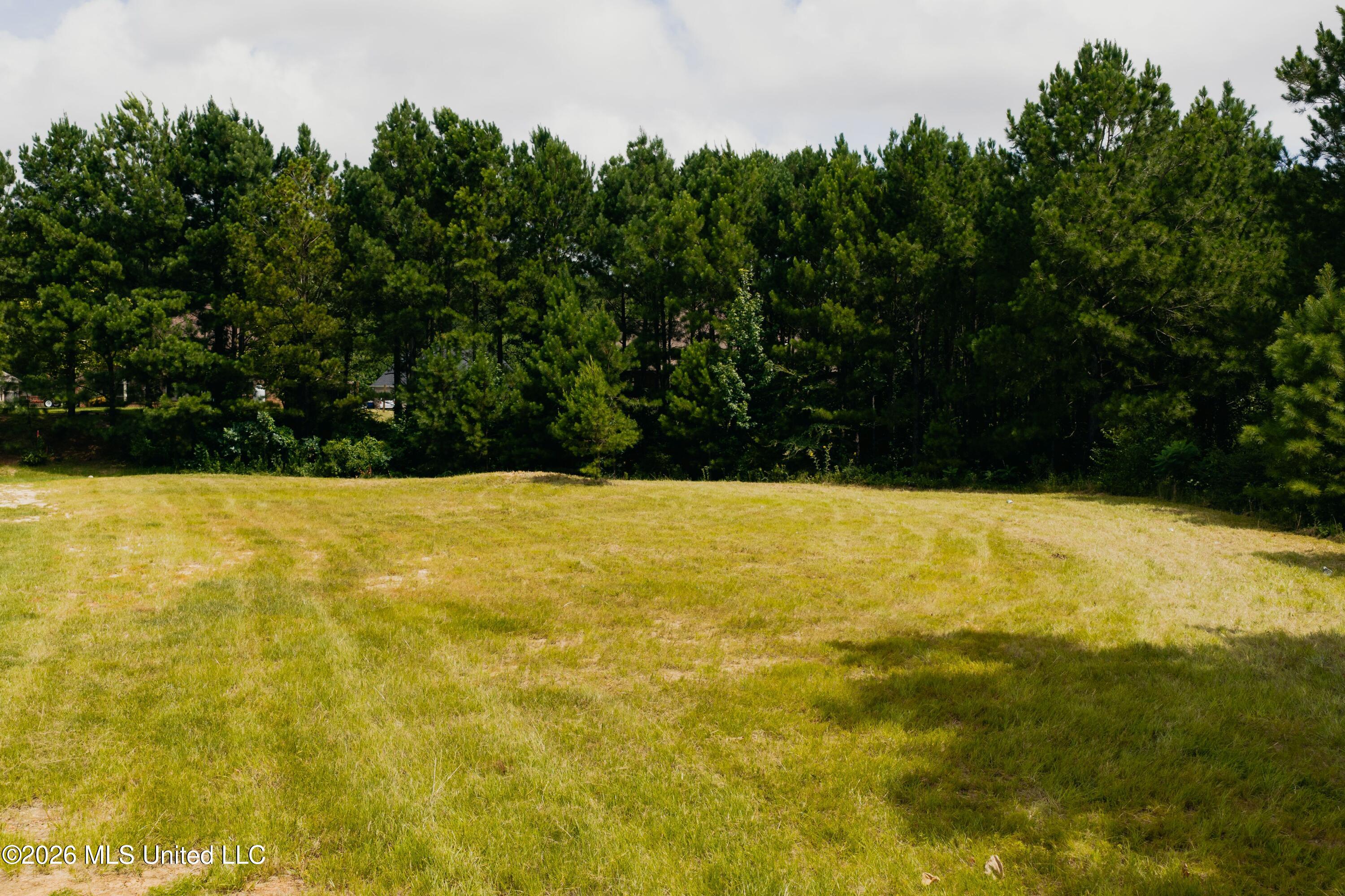 Allgood Road Meridian, MS 39301 - Photo 5 of 6 DJI_20260723001755_0314_D