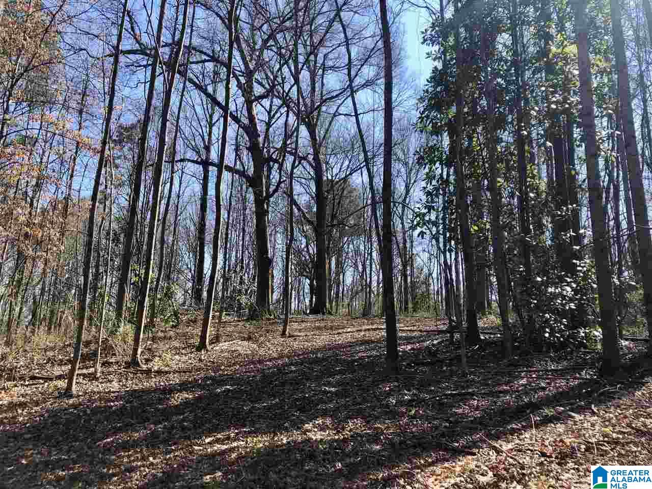 Campbell Street, Unit 1 Heflin, AL 36264 - Photo 12 of 15