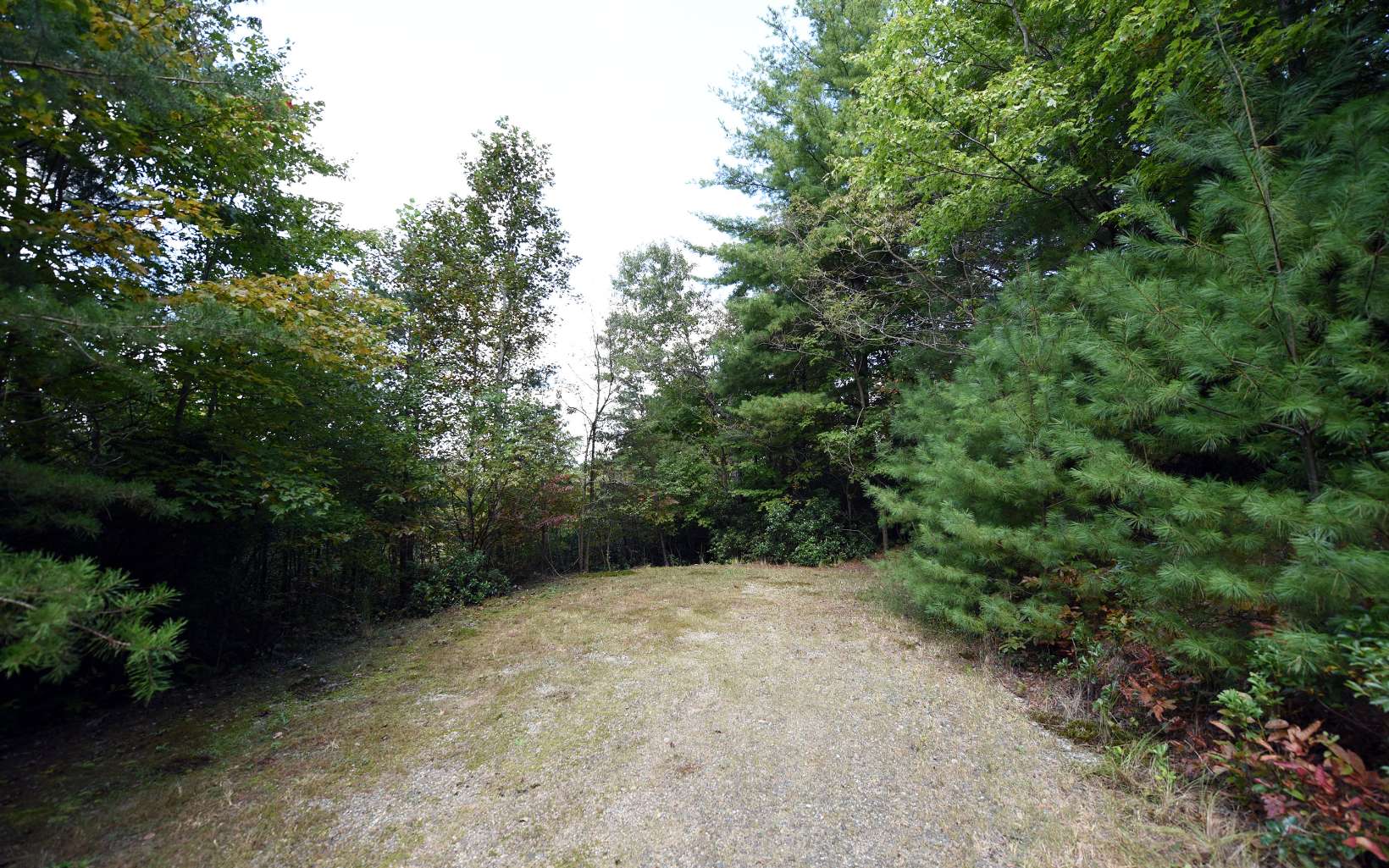 Up The Ridge Blairsville, GA 30512 - Photo 1 of 4 Main View