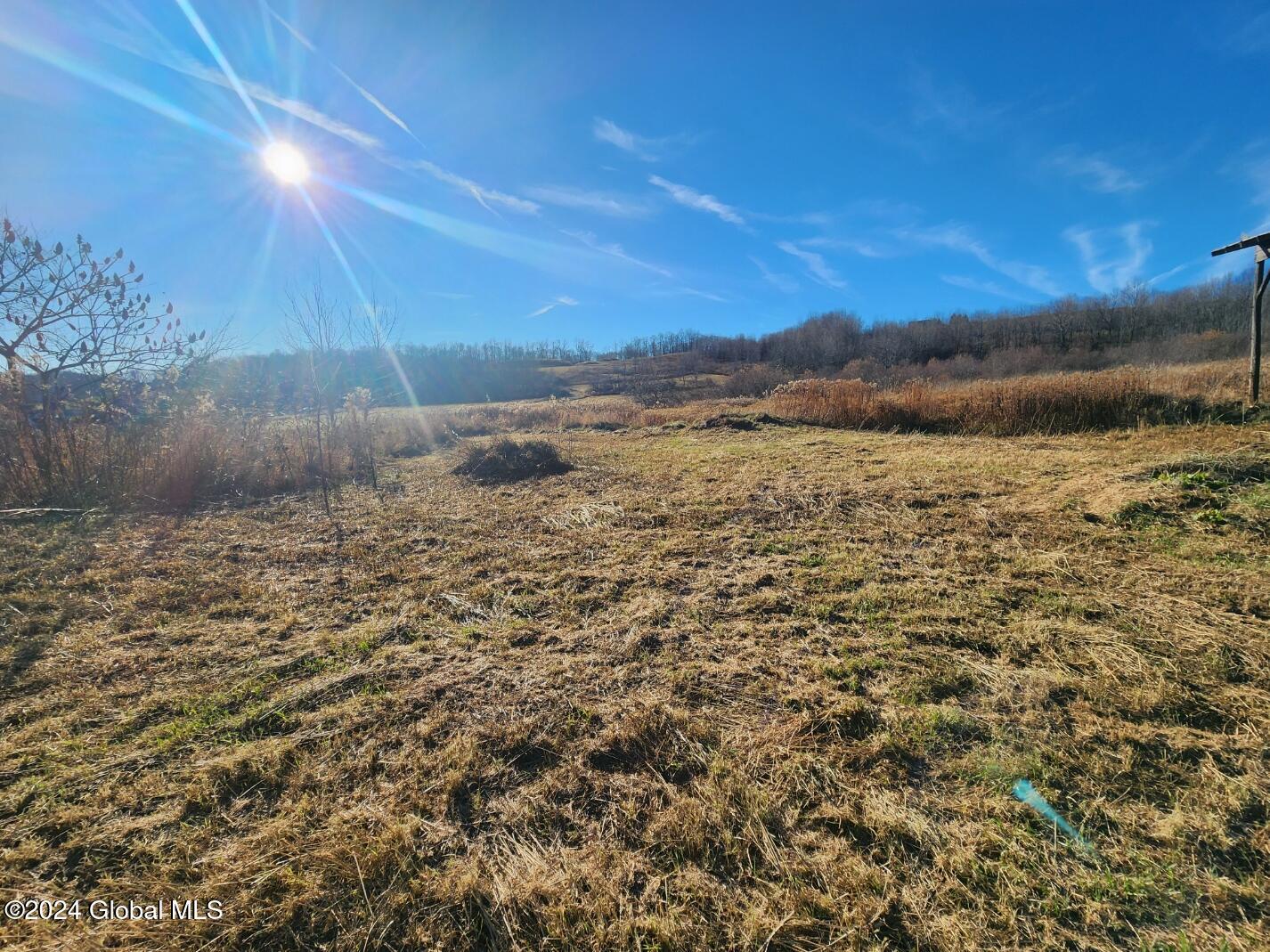 185 Skinner Hill Road Worcester, NY 12197 - Photo 35 of 37 20241115_141809