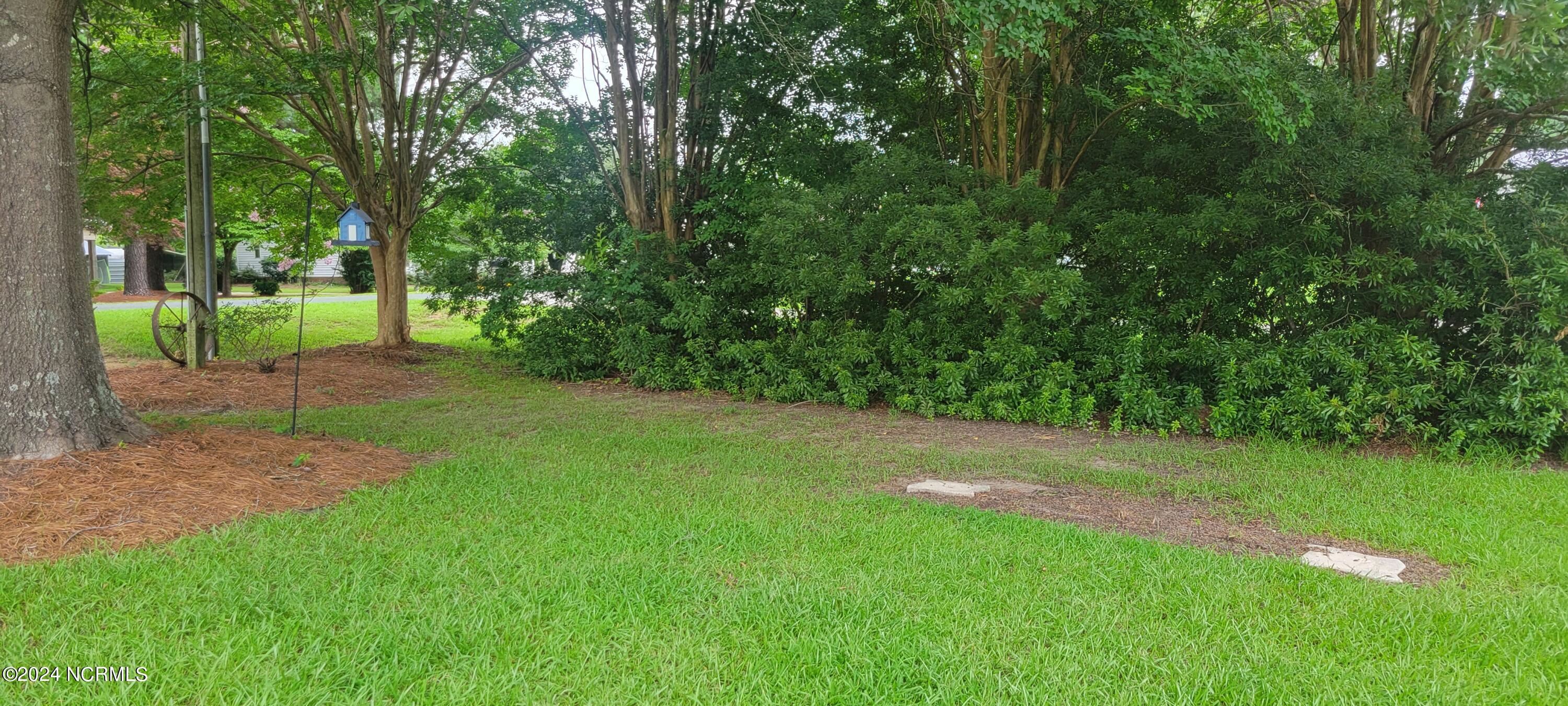 3398 Alvin Road Grimesland, NC 27837 - Photo 46 of 52 front side yard