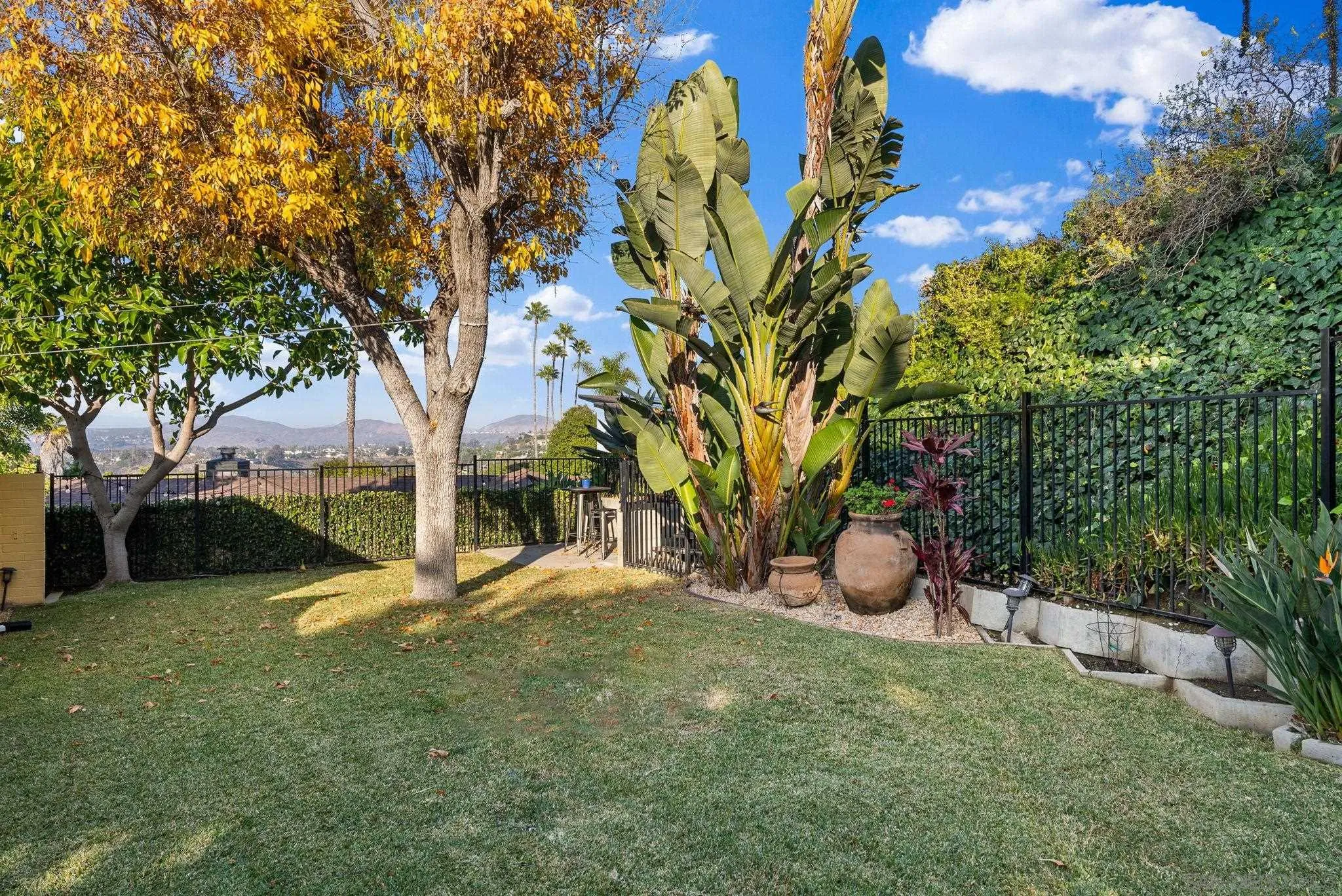 5111 Dorman Drive San Diego, CA 92115 - Photo 41 of 59 a view of a yard with a tree