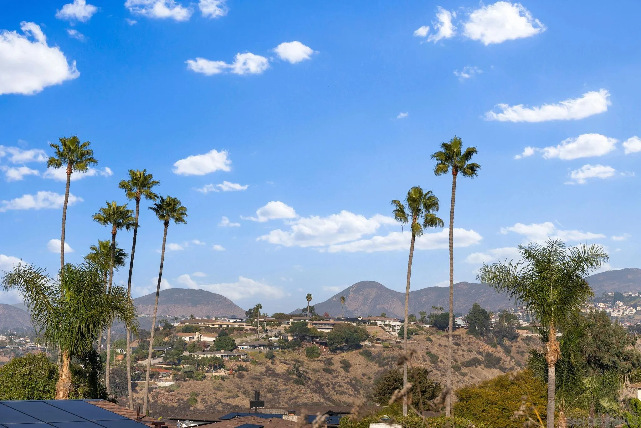5111 Dorman Drive San Diego, CA 92115 - Photo 45 of 59 a view of a house with a tree in a backyard