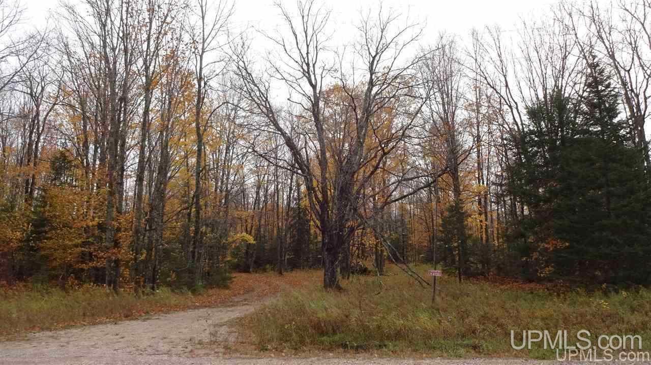 N2750 East T Road Trenary, MI 49891 - Photo 1 of 18