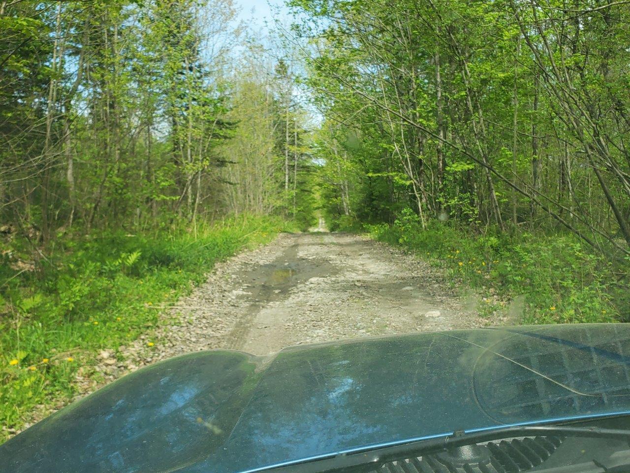 Lot 6 Pleasant Pond Road Milo, ME 04463 - Photo 26 of 38 20260523_143140 adj