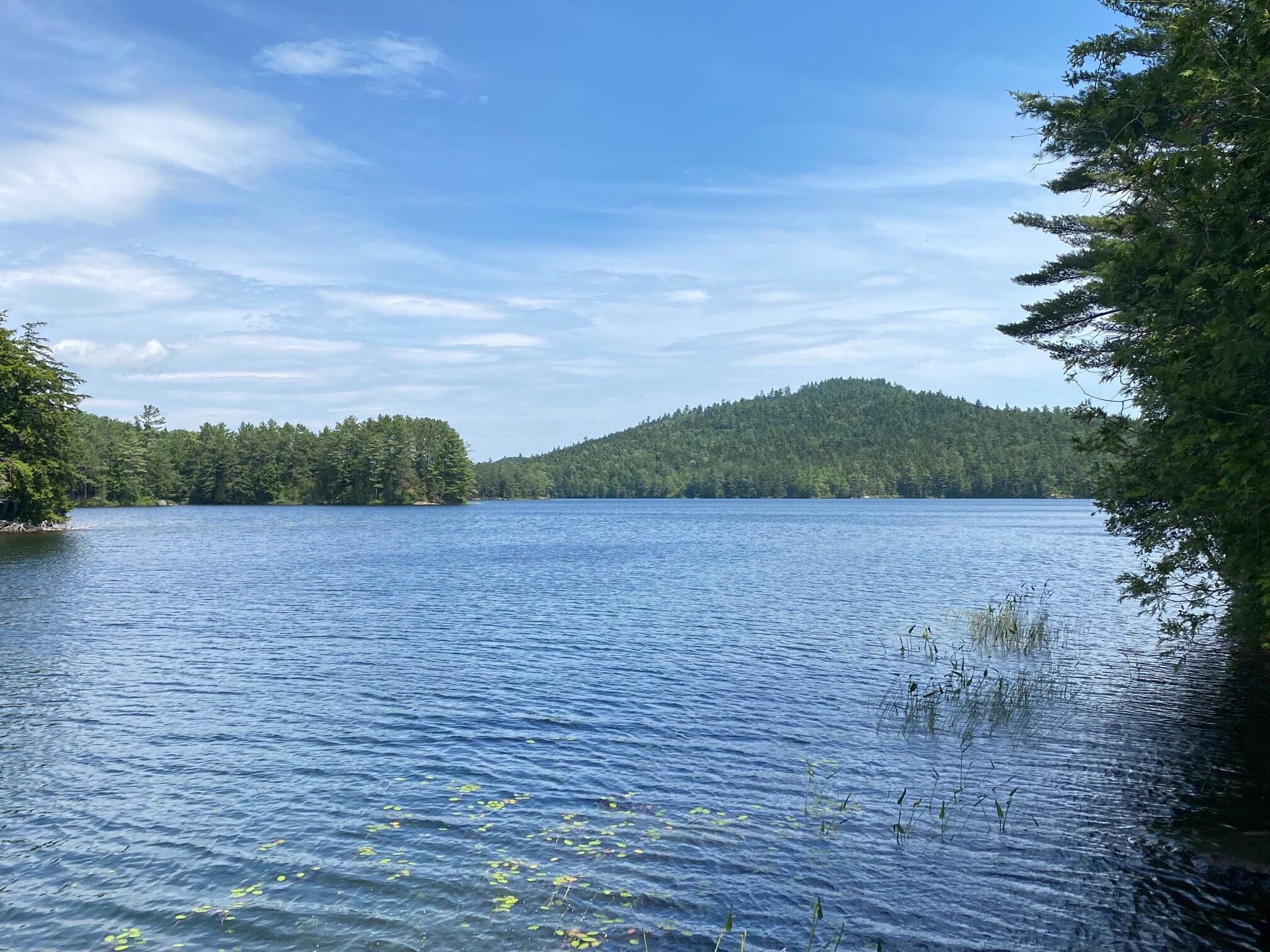 280 Greenwood Pond Road Guilford, ME 04443 - Photo 36 of 39