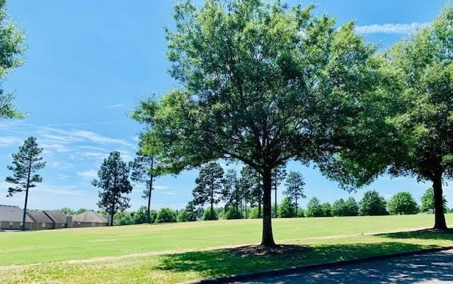 351 Geranium Street Graniteville, SC 29829 - Photo 3 of 55