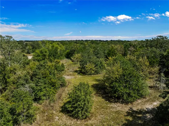 a view of a big yard with lots of bushes