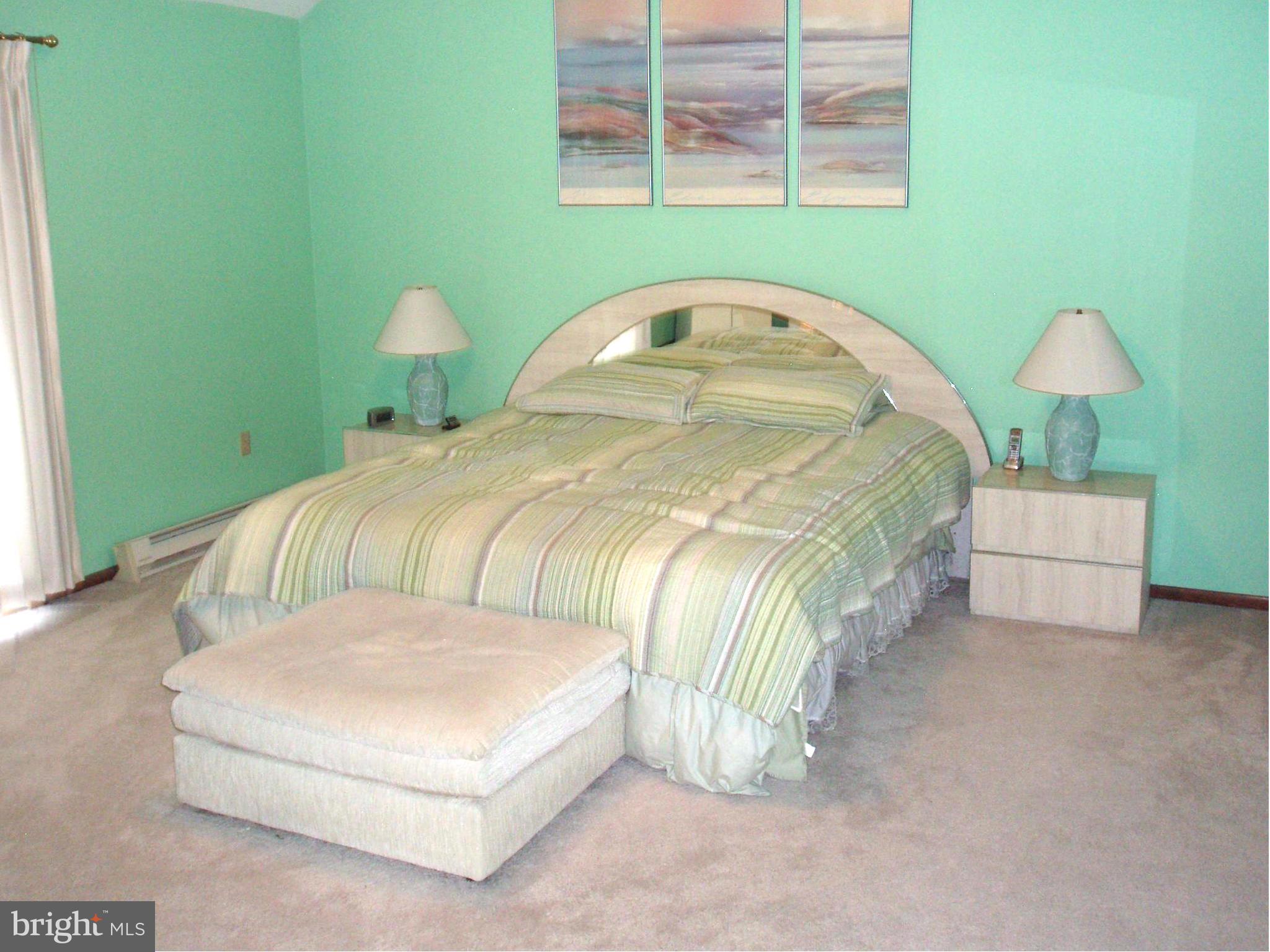 132 Middlecroft Road Elkton, MD 21921 - Photo 9 of 19 Bedroom (Master)
