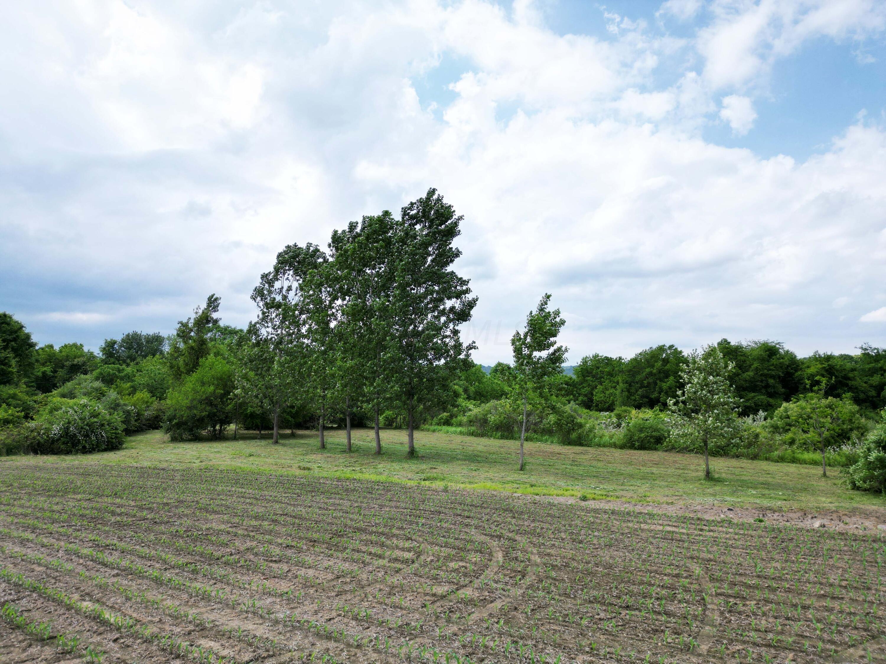 0 Schoolhouse Road Frazeysburg, OH 43822 - Photo 20 of 31 DJI_0583