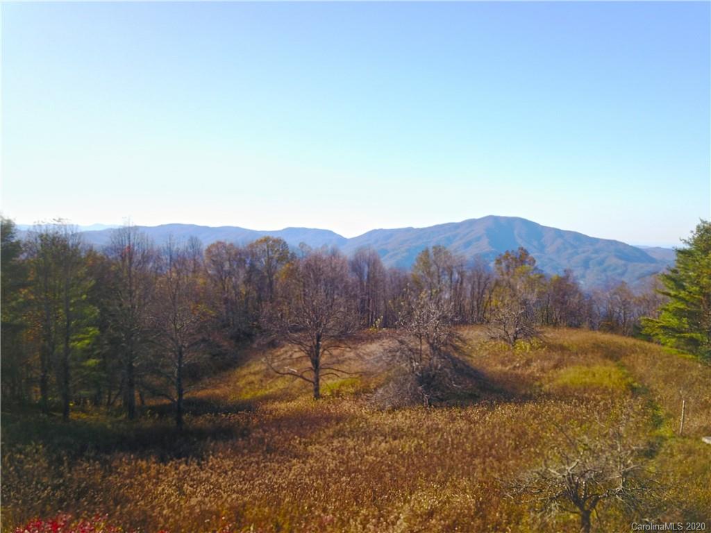 2685 West Road Hot Springs, NC 28743 - Photo 3 of 41 Gallery Image 3