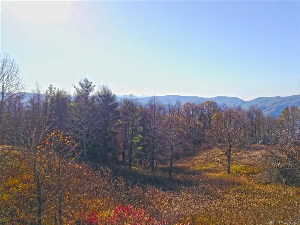 2685 West Road Hot Springs, NC 28743 - Photo 23 of 41 Gallery Image 23