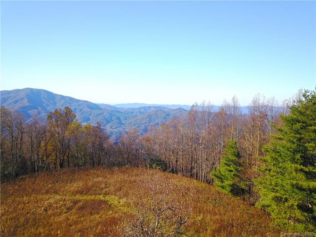 2685 West Road Hot Springs, NC 28743 - Photo 25 of 41 Gallery Image 25