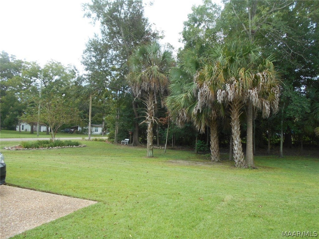 113 Line Street Samson, AL 36477 - Photo 8 of 28 Gallery Image 8