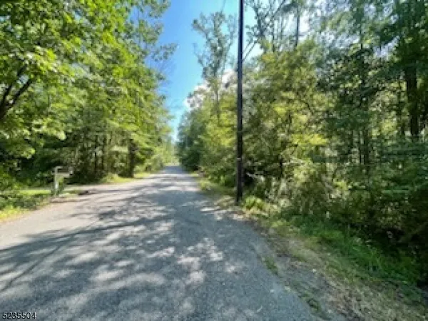 a view of a road with plants and large trees