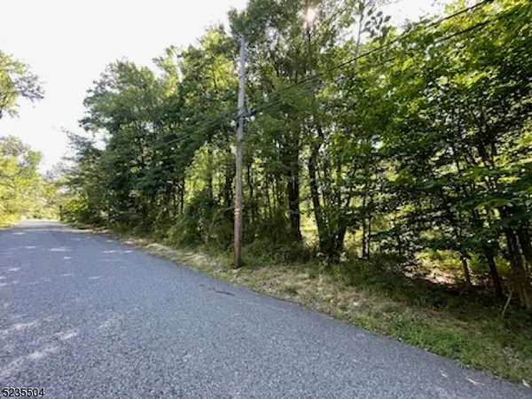 a view of a yard with plants and large trees