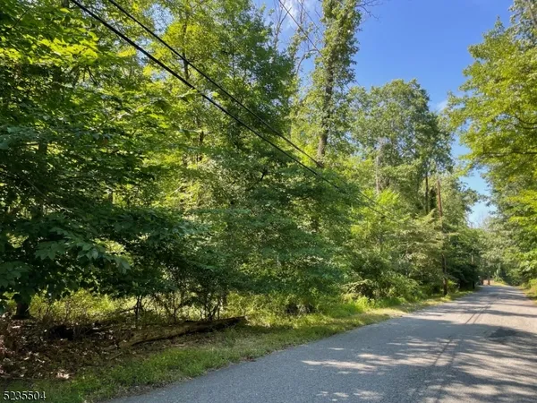 a view of a yard with large trees