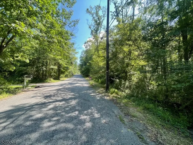 a view of a yard with large trees