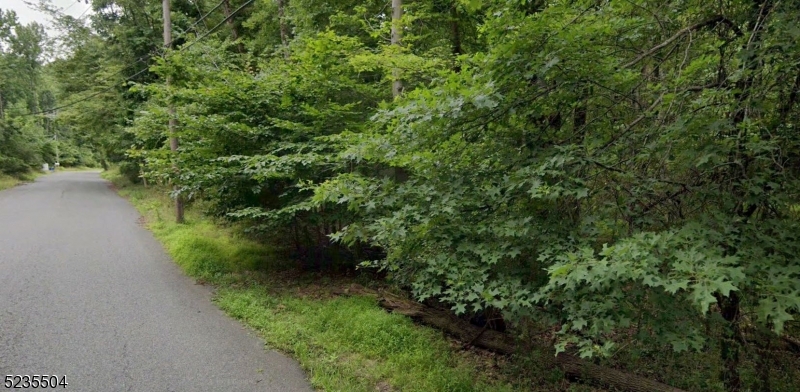 29 Elm Avenue Warren, NJ 07059 - Photo 5 of 17 a view of a forest with a tree