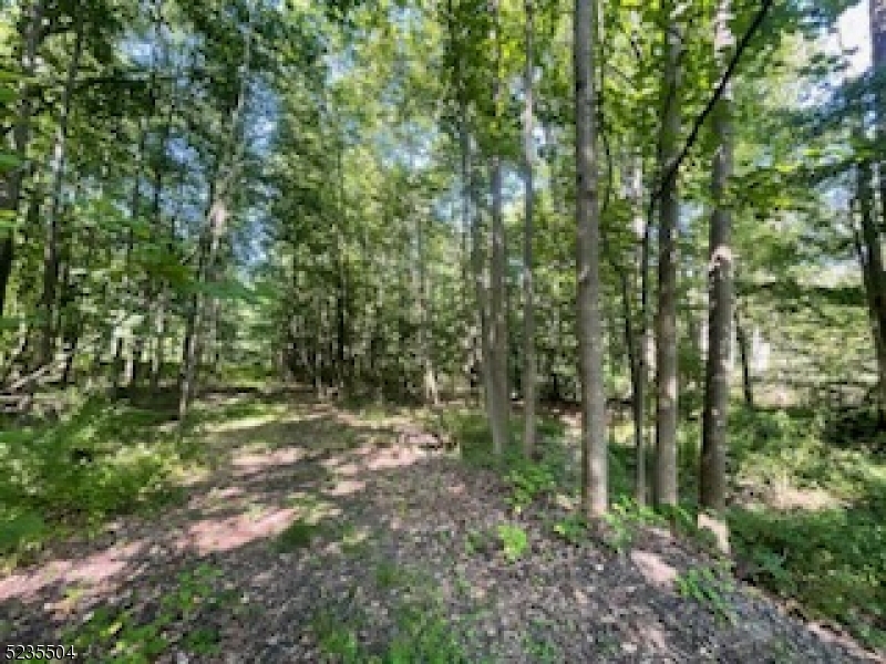 29 Elm Avenue Warren, NJ 07059 - Photo 6 of 17 a view of outdoor space and trees