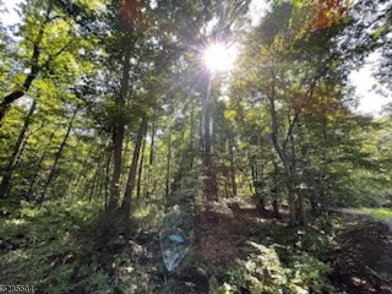 29 Elm Avenue Warren, NJ 07059 - Photo 9 of 17 a view of forest