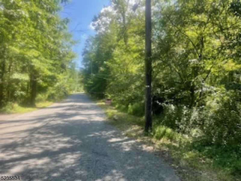 29 Elm Avenue Warren, NJ 07059 - Photo 10 of 17 a view of road with trees