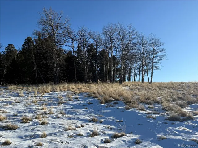 $150,000 | Lot 499 Collinson Drive, Fort Garland, CO 81133