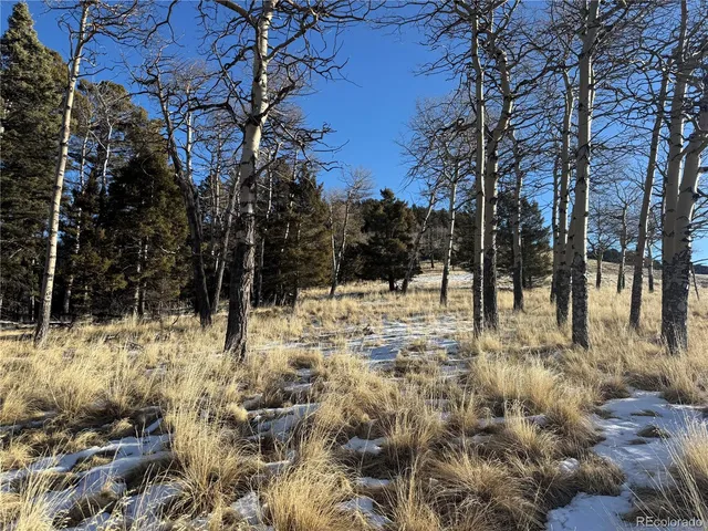 $150,000 | Lot 499 Collinson Drive, Fort Garland, CO 81133