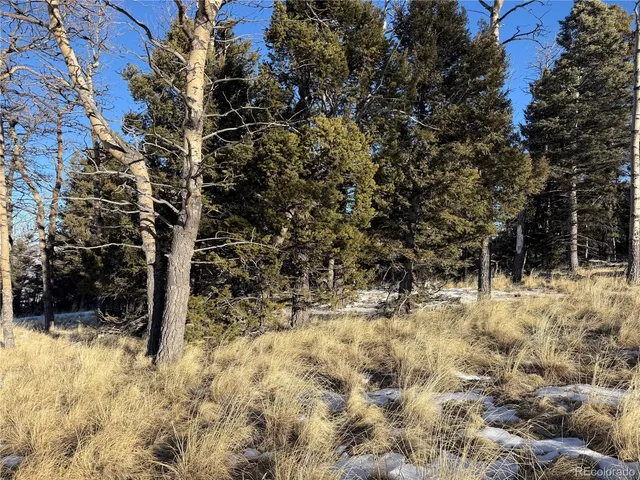 $150,000 | Lot 499 Collinson Drive, Fort Garland, CO 81133