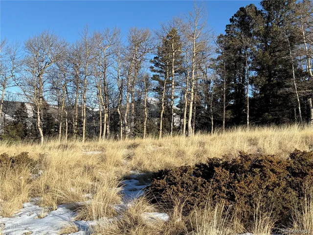 $150,000 | Lot 499 Collinson Drive, Fort Garland, CO 81133
