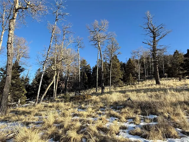 $150,000 | Lot 499 Collinson Drive, Fort Garland, CO 81133