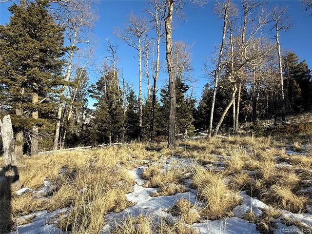 $150,000 | Lot 499 Collinson Drive, Fort Garland, CO 81133