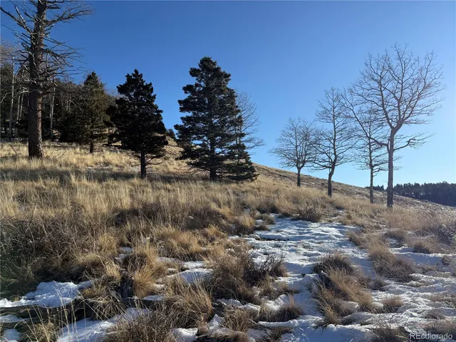 $150,000 | Lot 499 Collinson Drive, Fort Garland, CO 81133