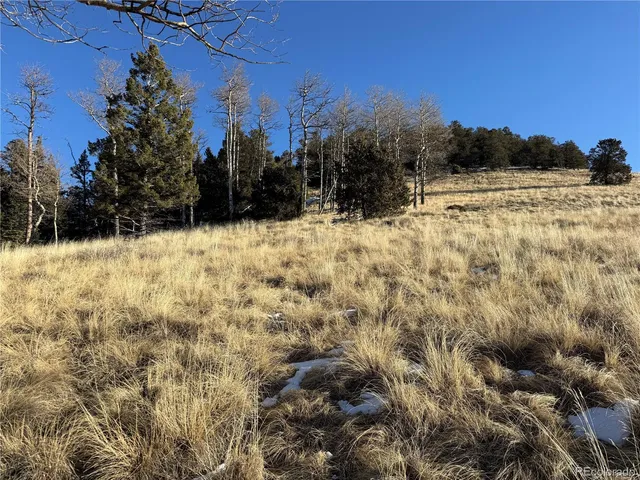 $150,000 | Lot 499 Collinson Drive, Fort Garland, CO 81133