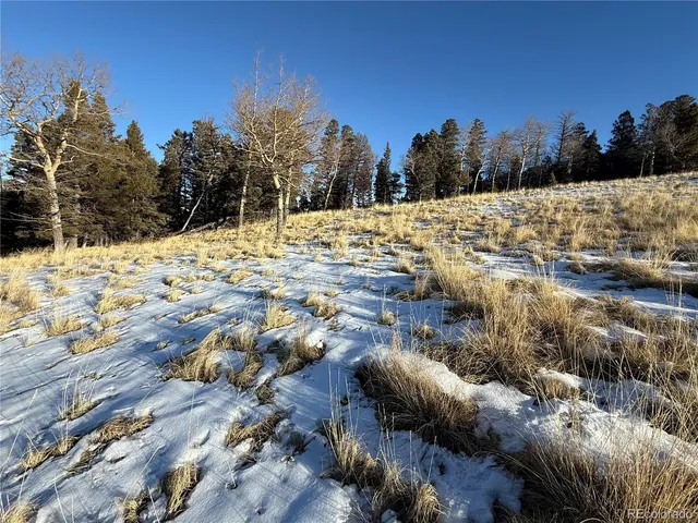 $150,000 | Lot 499 Collinson Drive, Fort Garland, CO 81133