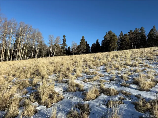 $150,000 | Lot 499 Collinson Drive, Fort Garland, CO 81133