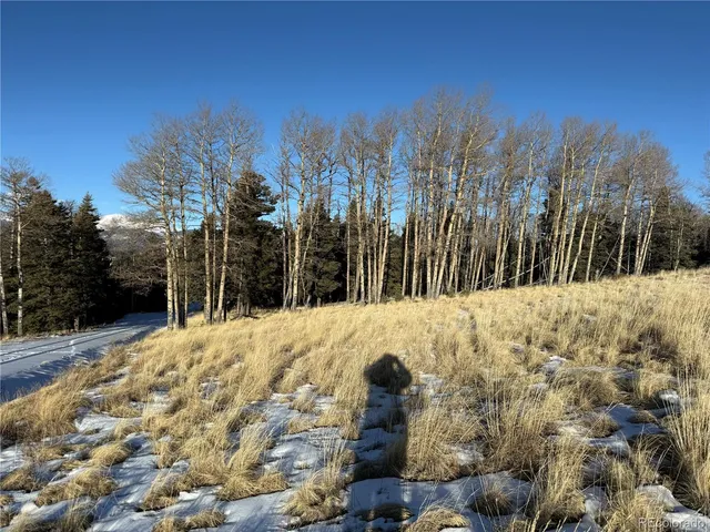$150,000 | Lot 499 Collinson Drive, Fort Garland, CO 81133