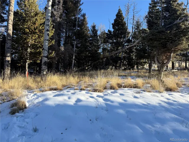 $150,000 | Lot 499 Collinson Drive, Fort Garland, CO 81133