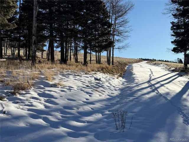 $150,000 | Lot 499 Collinson Drive, Fort Garland, CO 81133