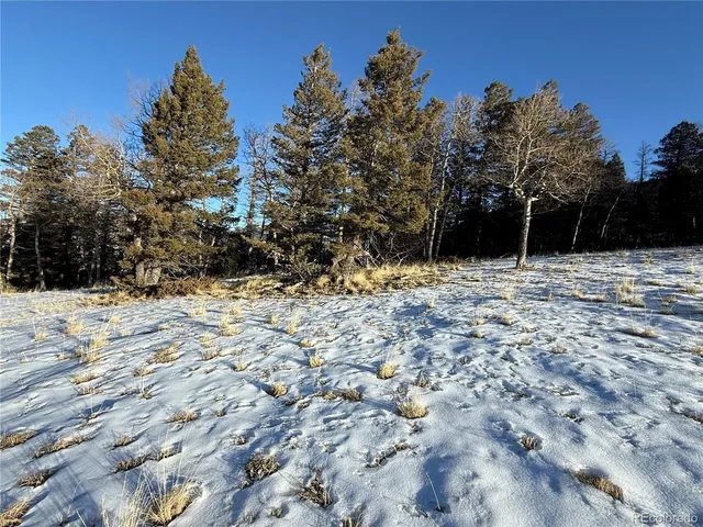 $150,000 | Lot 499 Collinson Drive, Fort Garland, CO 81133