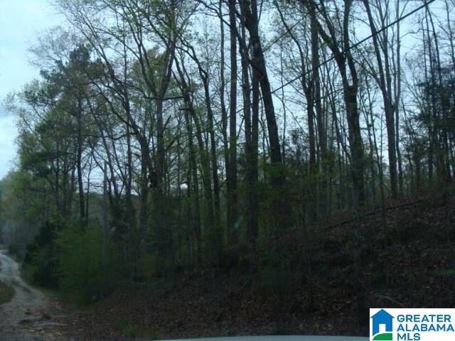 406 Caffe Ridge, Unit PARCEL Woodstock, AL 35188 - Photo 23 of 30