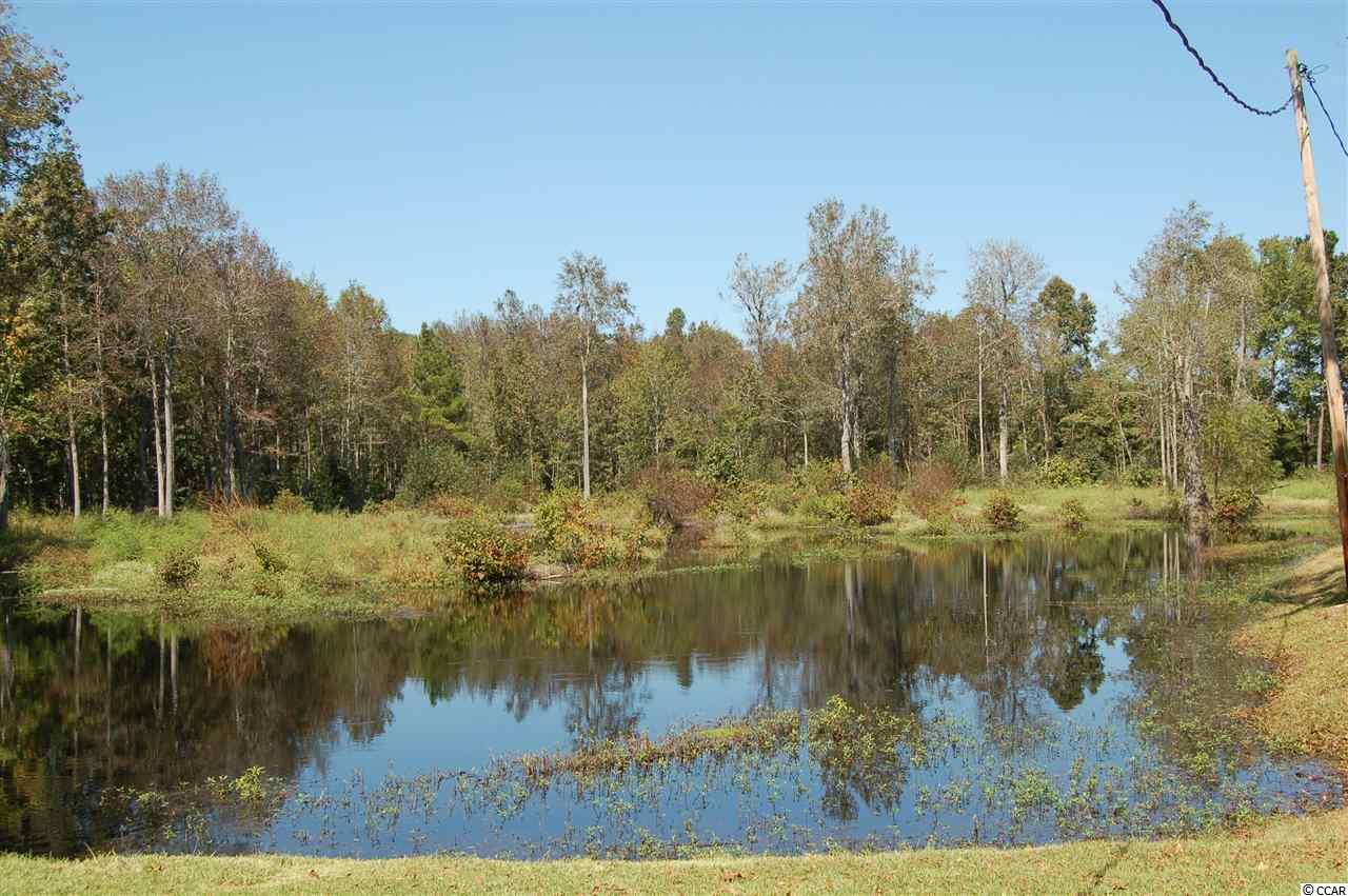 5044 Antioch Road Conway, SC 29527 - Photo 24 of 35 Gallery Image 24