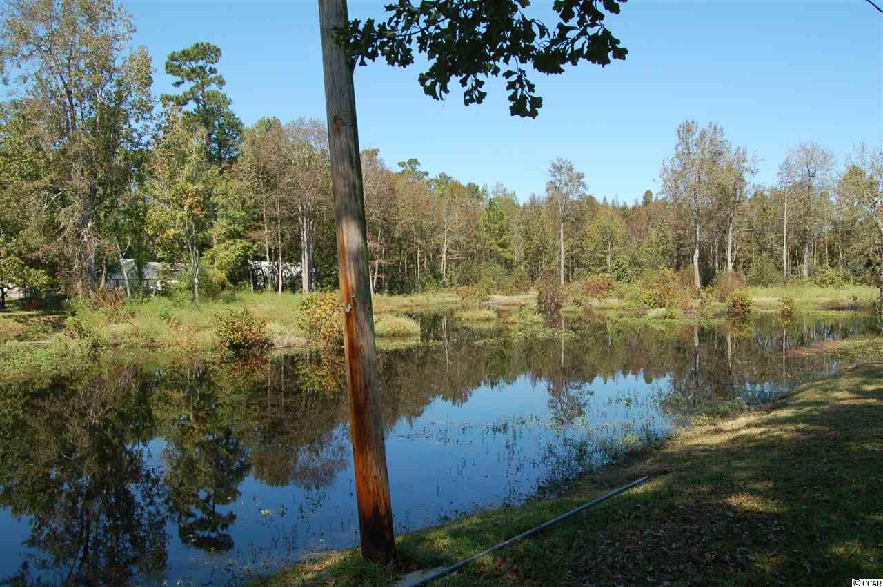 5044 Antioch Road Conway, SC 29527 - Photo 8 of 35 Gallery Image 8