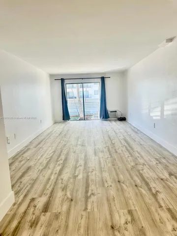 a plant that is in front of a window