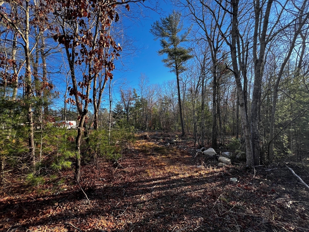 480 Wareham Street Middleboro, MA 02346 - Photo 2 of 11 a view of a backyard of a house