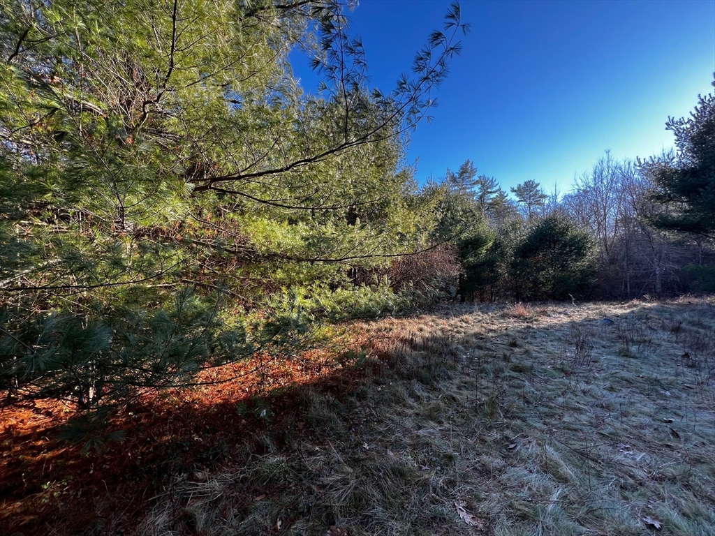480 Wareham Street Middleboro, MA 02346 - Photo 3 of 11 a view of a yard with a tree