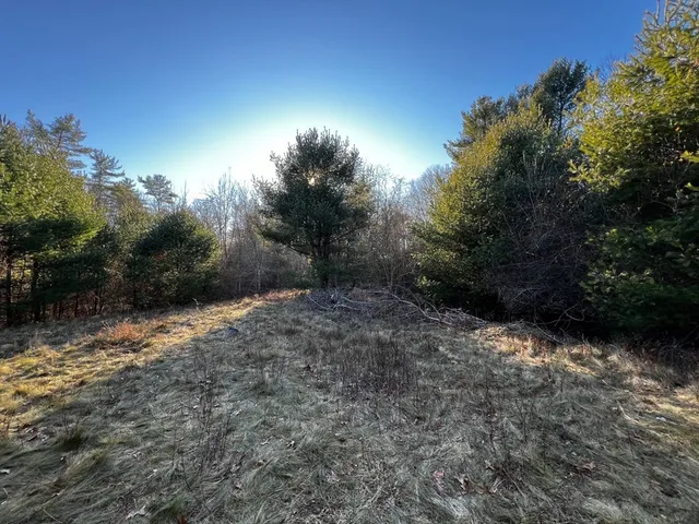 a view of a yard with a tree