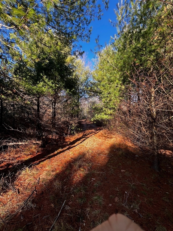 480 Wareham Street Middleboro, MA 02346 - Photo 7 of 11 a view of a forest