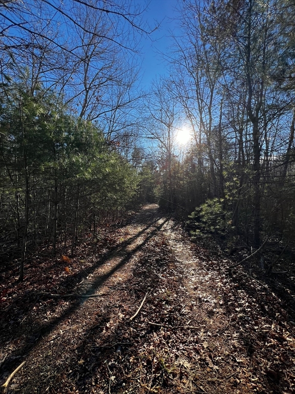 480 Wareham Street Middleboro, MA 02346 - Photo 8 of 11 a view of a yard