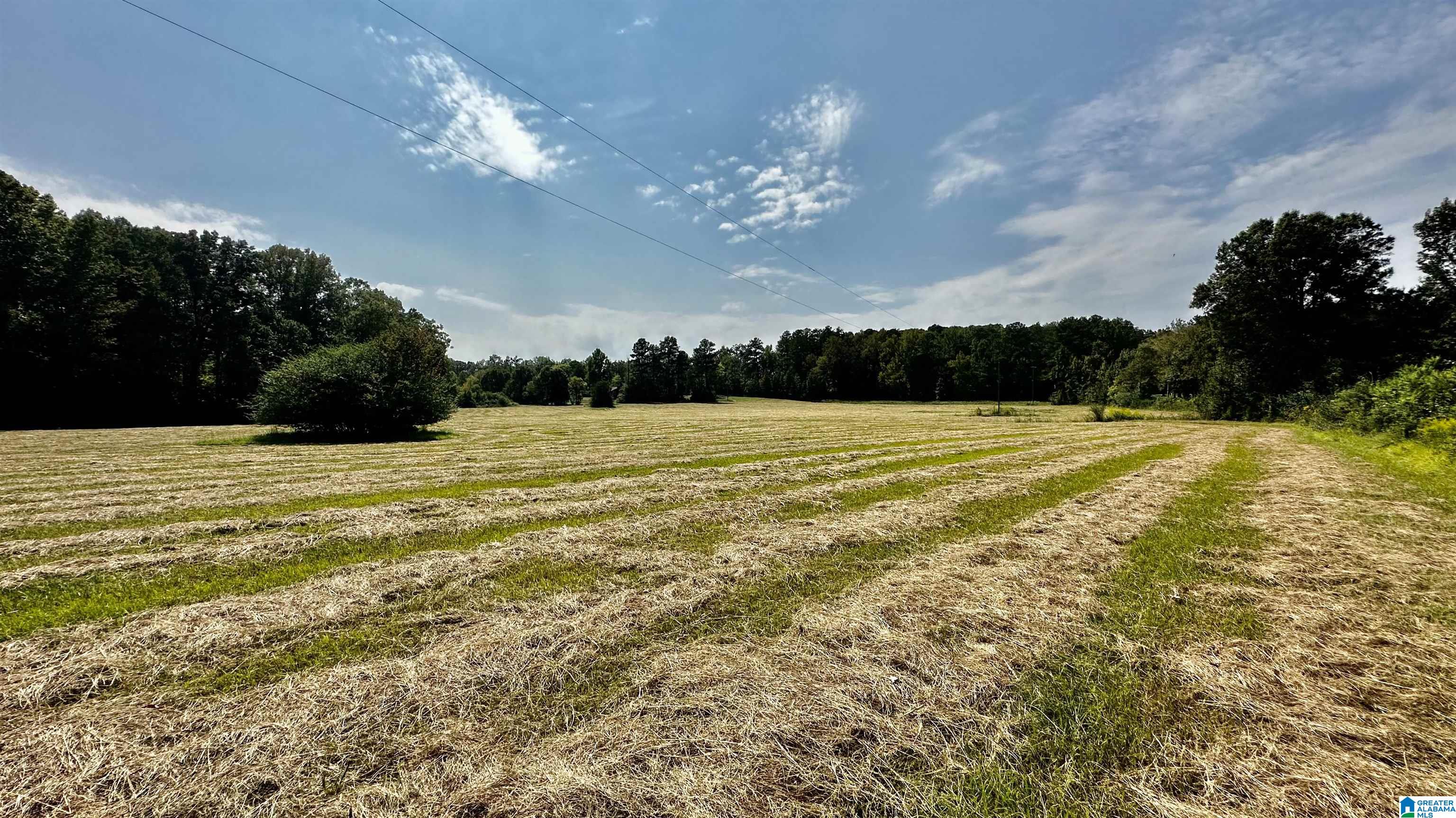 0 Rock School Road Harpersville, AL 35078 - Photo 10 of 15